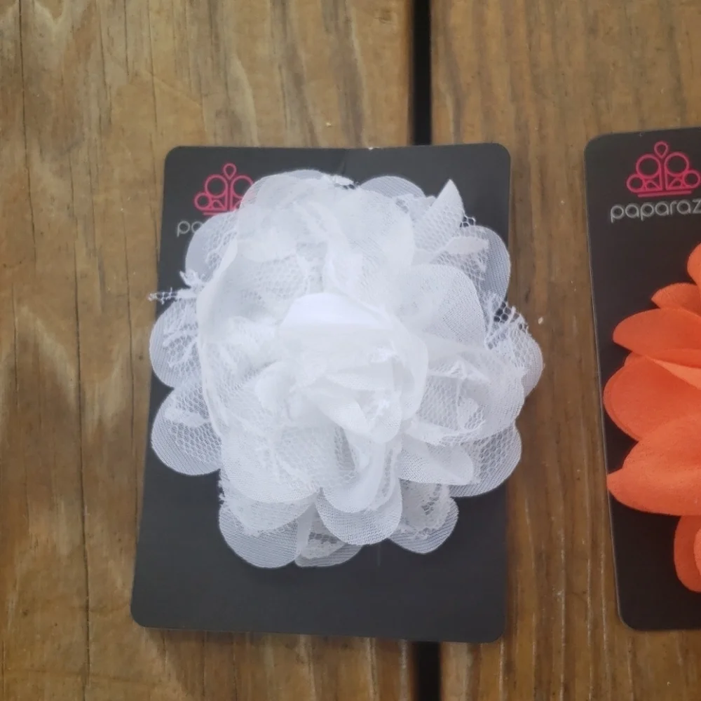 Paparazzi hair clips for girls